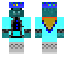 skin