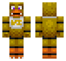 skin