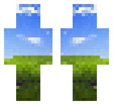 skin