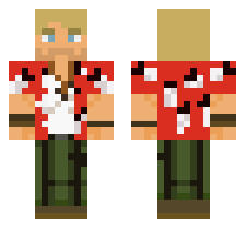 skin