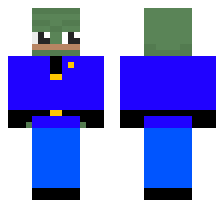 skin