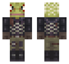 skin