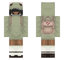 skin