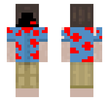 skin