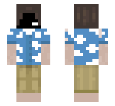 skin