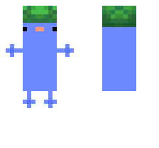 skin