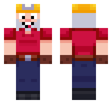 skin