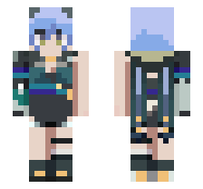 skin