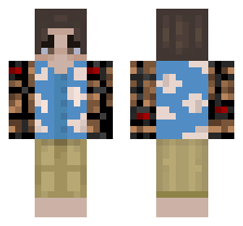 skin