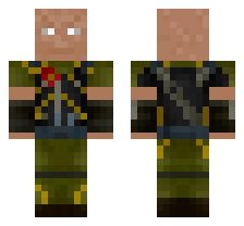 skin