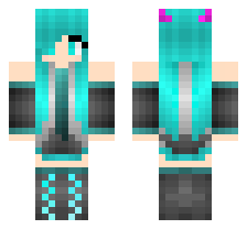 skin