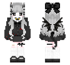 skin