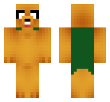 skin