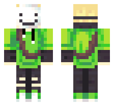 skin