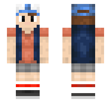 skin