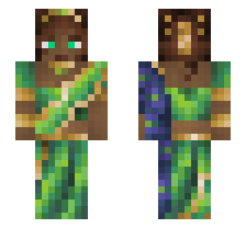 skin
