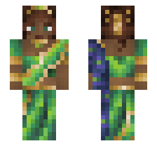 skin