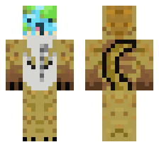 skin