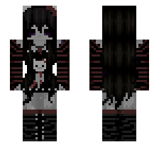 skin