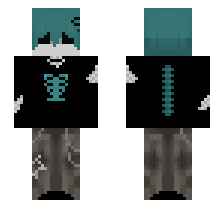 skin