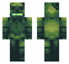 skin