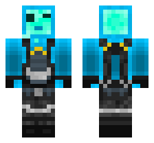 skin