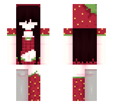 skin