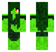 skin