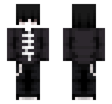 skin