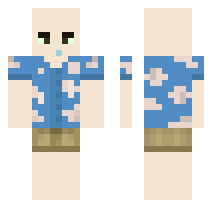 skin