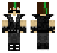 skin