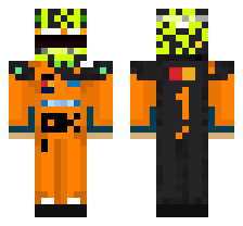 skin