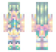 skin