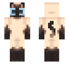 skin