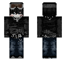 skin