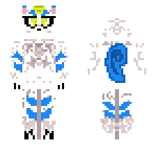 skin