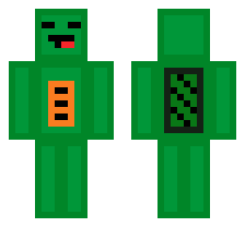 skin