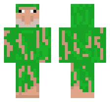 skin