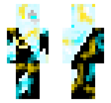 skin