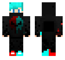 skin