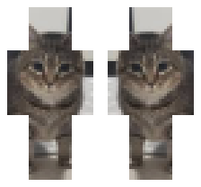 Meme Cat 1