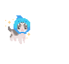 cat shark 🦈 🐈‍⬛✨✨