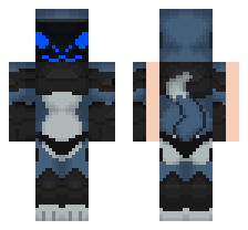 skin