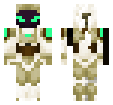 skin