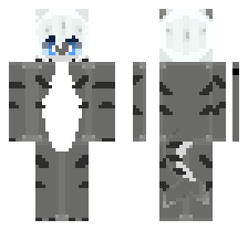 skin