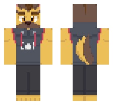 skin