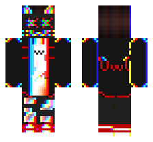 skin