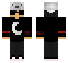 skin