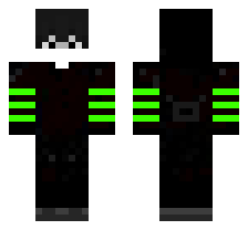skin