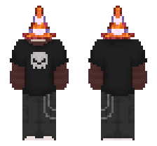 skin